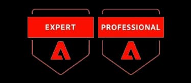 Expert Professional